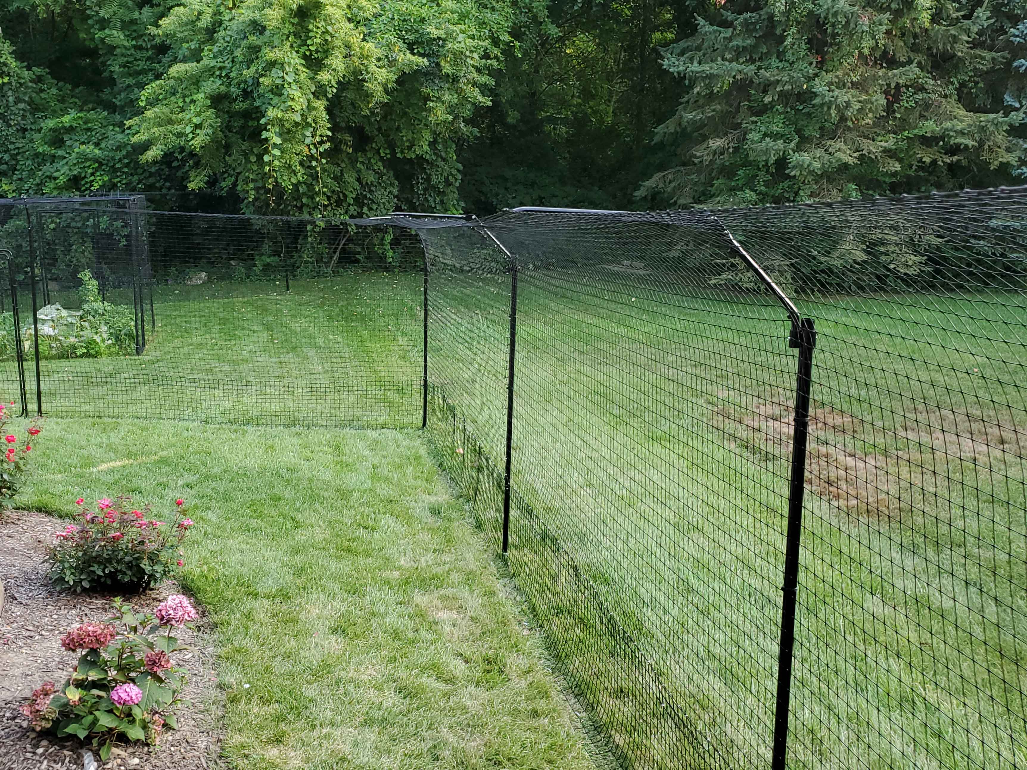 cat-proof-fence-options-diy-vs-commercial-purrfect-fence