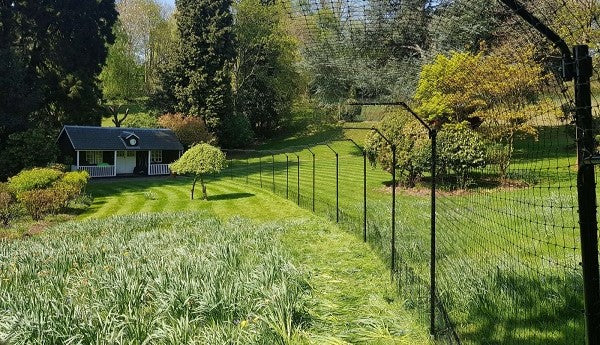 Cat Fences & Outdoor Cat Enclosures
